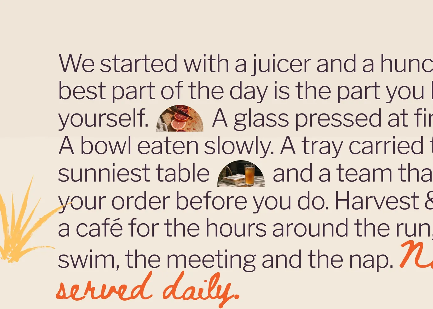 Harvest & Hive introduction with inline photographs and a hand-drawn script